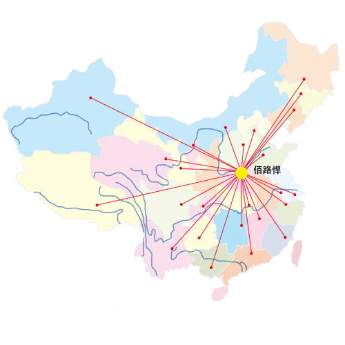 國內(nèi)市場